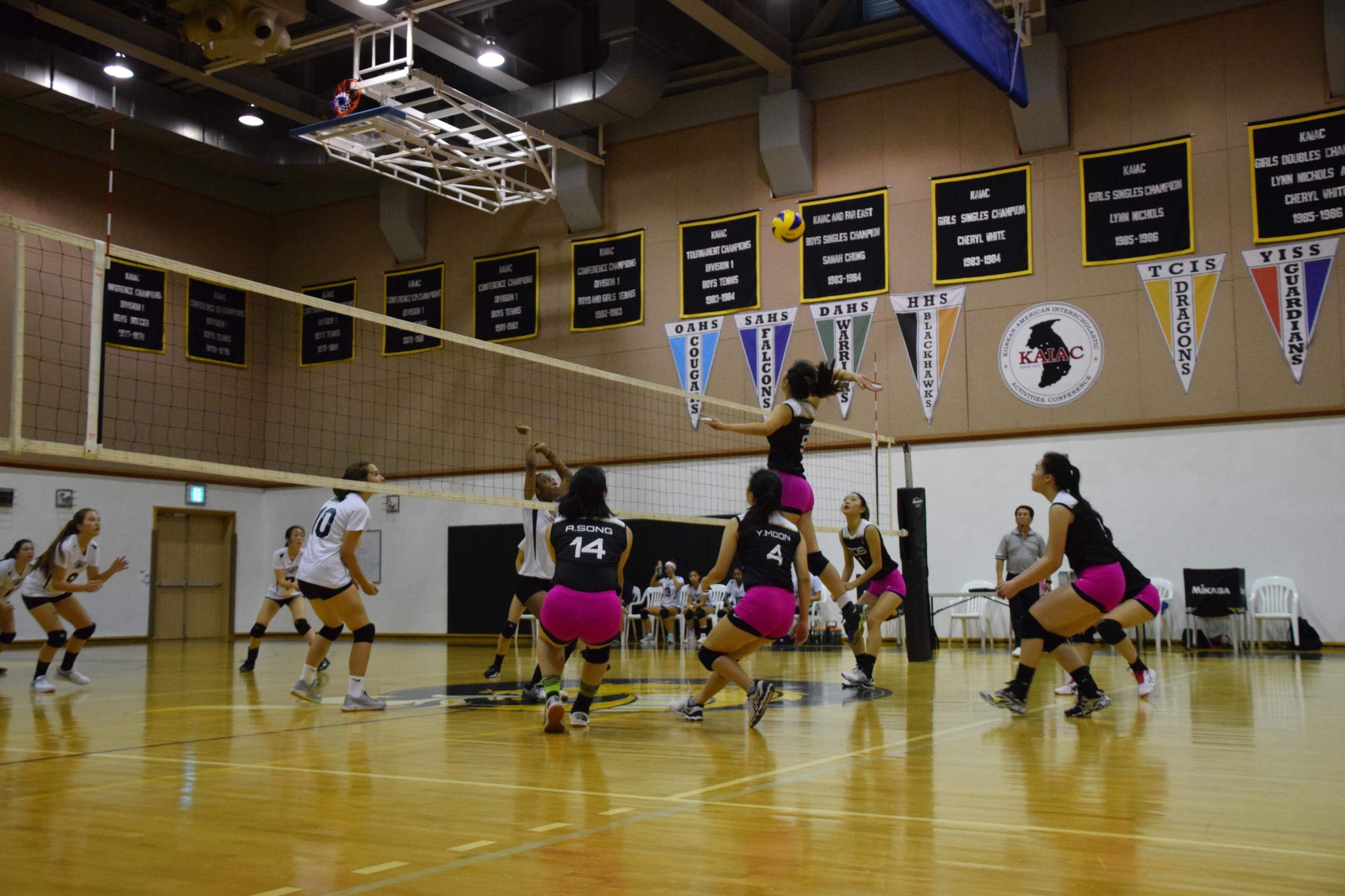 Libby's team playing on Dig Pink night.