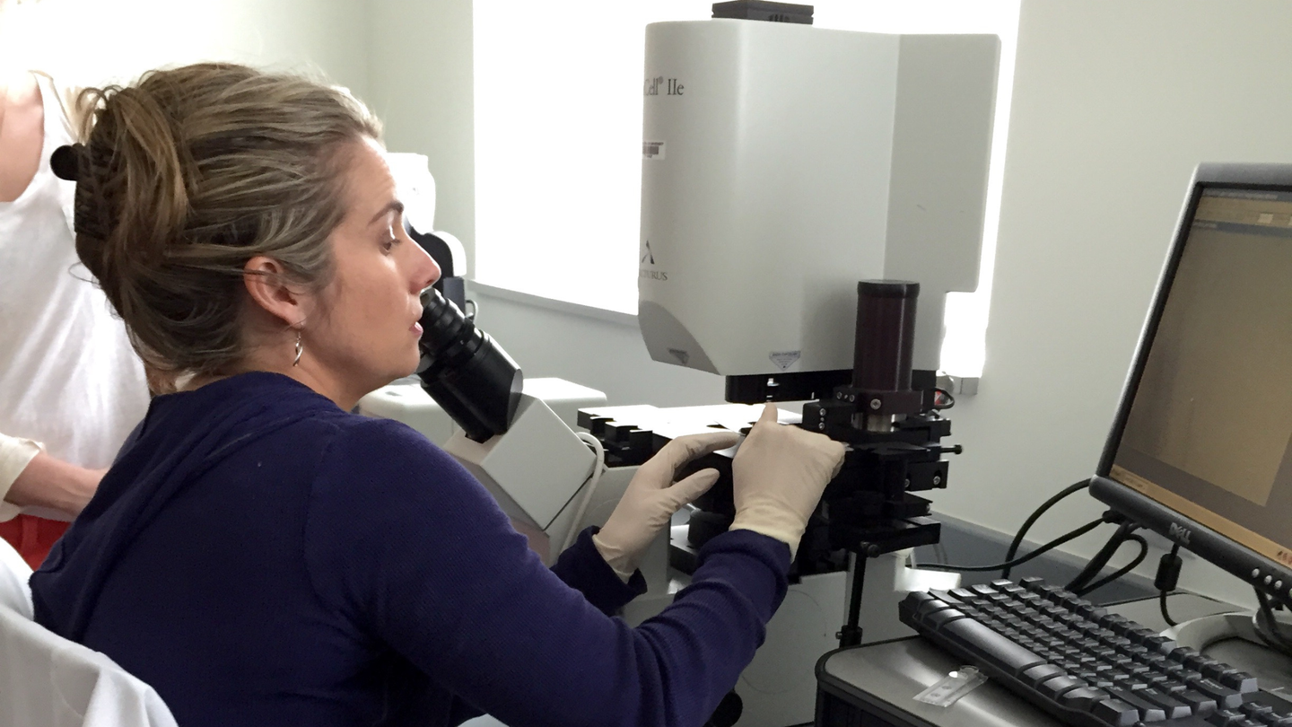 Our Researchers Found A Protein That Helps Cancer Outsmart Treatment